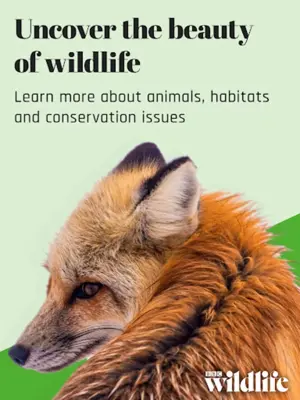 BBC Wildlife Magazine android App screenshot 7